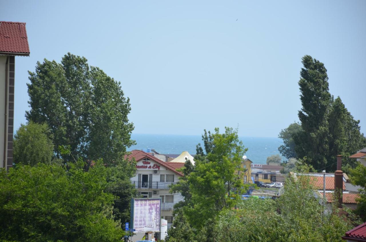Vila Cu Livada 코스티네스티 외부 사진